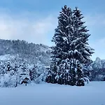 Apartment-Alpenfantasie